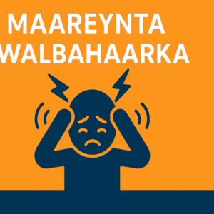 Maareynta Walbahaarka ( Managing Anxiety )